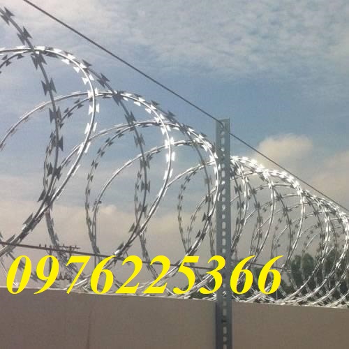 Đại lý dây thép gai hình dao,dây kẽm gai lưới dao tại Hà Nội